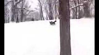 sled dare devil