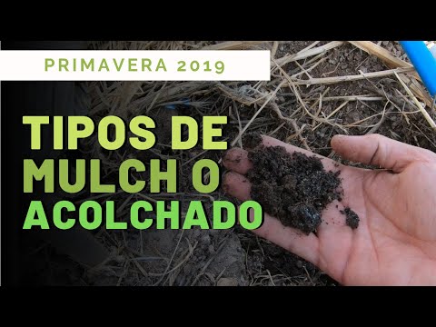 Video: El Mulching Es Verdad Y Ficción