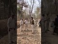 Mp Forest Department guard #forest #forestguard