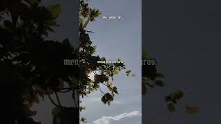 ceramah ustad Jefri al-buchori