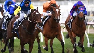 2016 MRC New Zealand Bloodstock Memsie Stakes