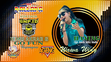 HANING | Wawa Widy Ft. New Pallapa  ( 🔊 Live konser terbaru 2019 )