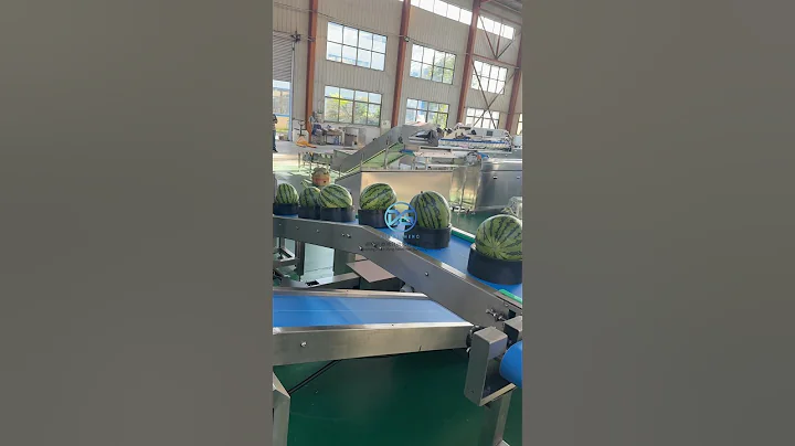 Xindesheng Automation Technology Non-destructive Fruit Tray Sorter(XDS-800G-A) #sorting #fruit #food