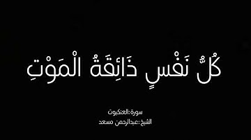 كروما شاشة سوداء |القارئ عبدالرحمن مسعد |سورة العنكبوت
