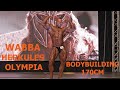Vitaflex WABBA Herkules Olympia Bodybuilding 170 cm