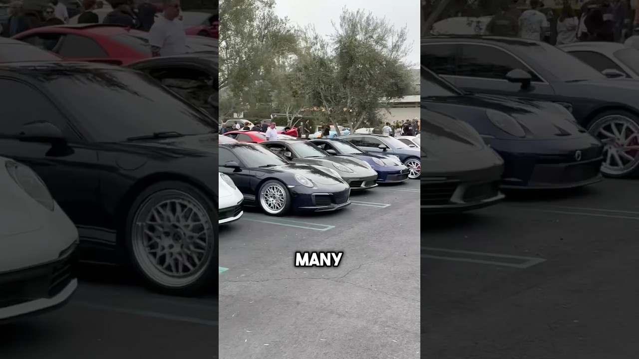 CRAZY Porsche Rally?! 