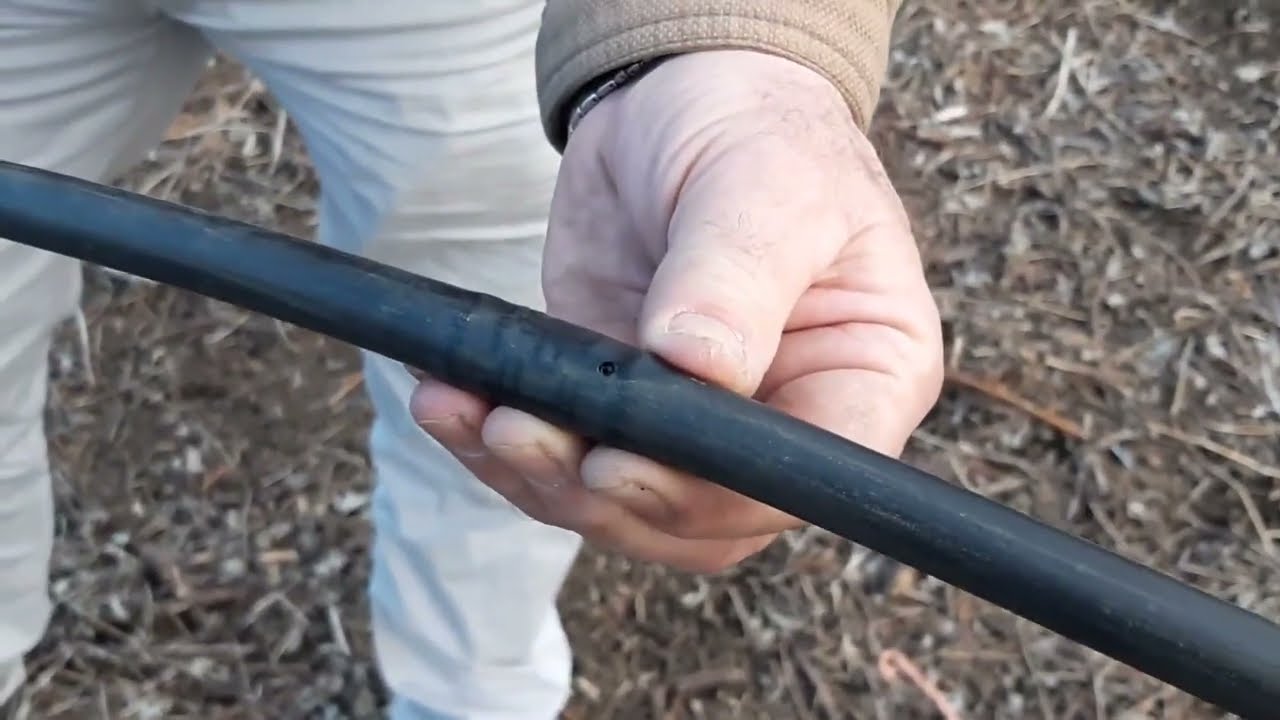 Video 10 - Riego por goteo en frambuesas
