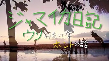 9/21公開！【TRAILER】ドキュメンタリー映画 「ジャマイカ日記 ウソみたいなホントの話 」