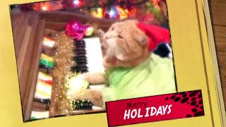 Merry Holidays From Keyboard Cat
