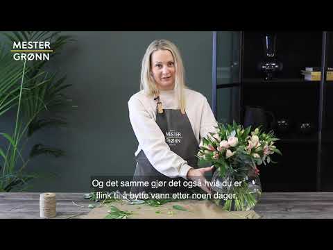 Video: Hvordan ta vare på blomster hjemme