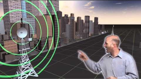 The Wireless Mesh Network