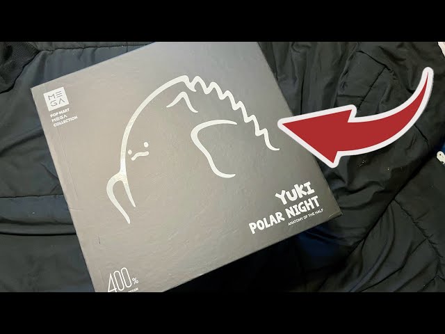 YUKI box♡ Pop Mart Yuki Polar Night 400% Unboxing & A Free Gift