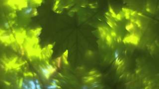Helios 44 2 58mm F2 Lens Petzval Mod Swirly Bokeh Sample Youtube Helios 44 2 58mm F2 Lens Petzval Mod Swirly Bokeh Sample Youtube