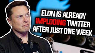 Elon Musk Already IMPLODING Twitter After Just One Week