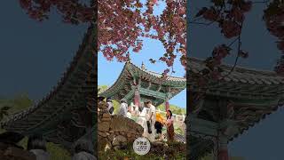 요즘 핫한 사진 명소! 사천 청룡사 겹벚꽃이 만든 봄의 정원 🎵내마음 별과 같이 #현철