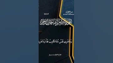 #سورة_لقمان #القرآن_الكريم #تلاوات_خاشعة #quran #alquran_alkareem