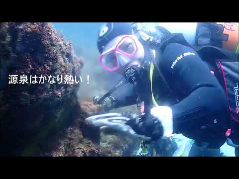 堂ヶ島に潜る女子ツアー 水中温泉 伊豆の観光名所 天窓洞をくぐる観光気分 群馬県伊勢崎市のダイビングショップ