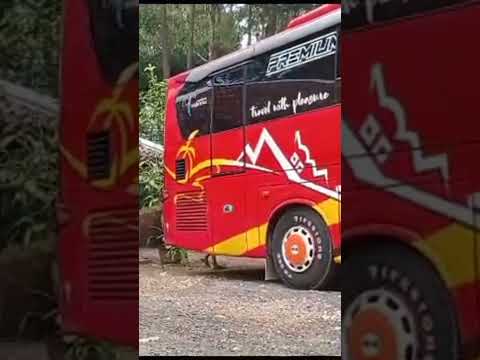 Golden Star: Mengukir Jejak Kemewahan dan Kenyamanan di Industri Pariwisata Indonesia