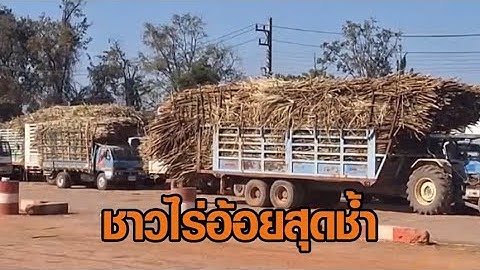 ชาวไร่อ้อยสุดช้ำ สั่งปิดโรงงานน้ำตาลกะทันหัน รถบรรทุกอ้อยตกค้างทะลุ 2 พันคัน