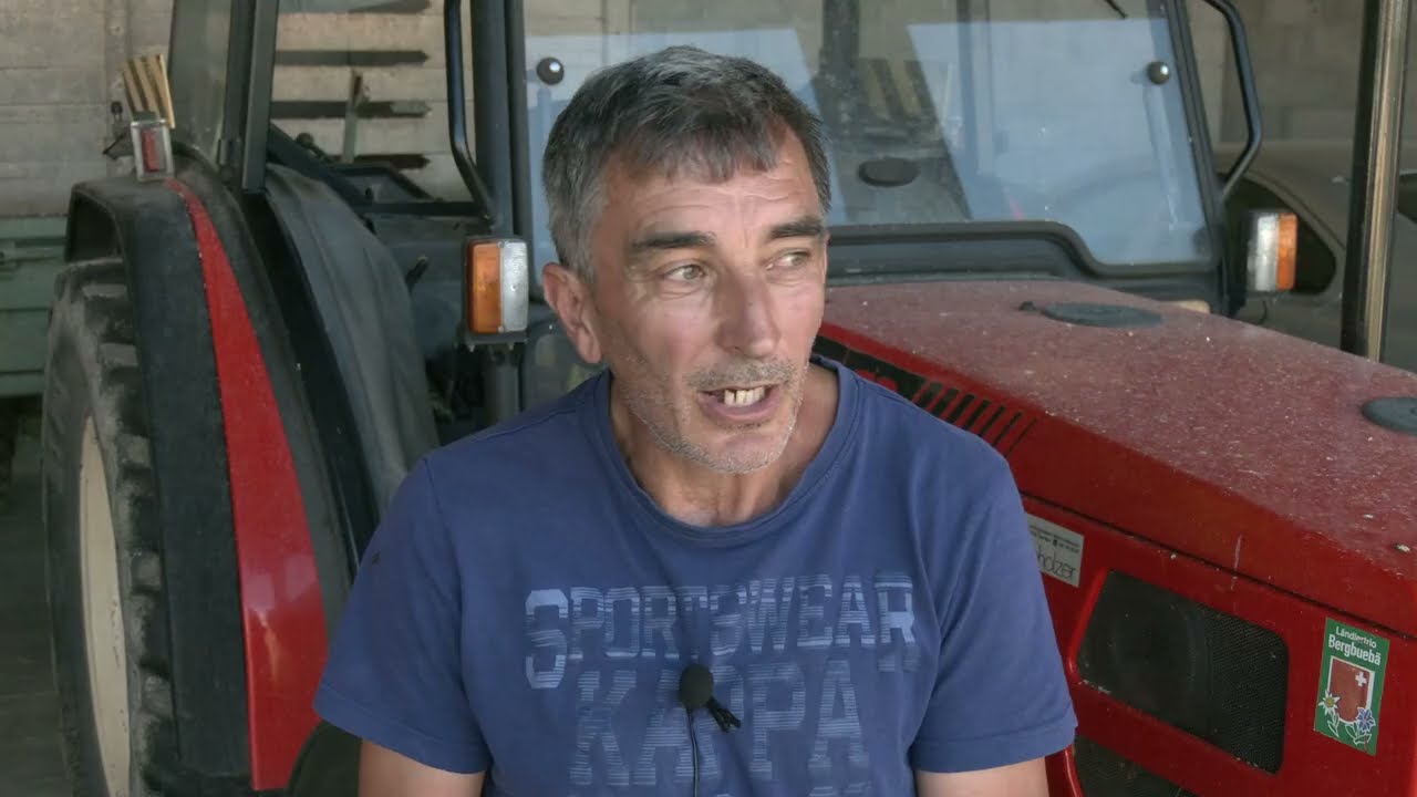 - AUSTRIJSKI SIMENTALAC MOJE JE GOVEČE BUDUĆNOSTI -