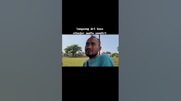 Bos Elkajur audio nantang brewog bettel viral di dunia perhoregan #brewogaudio #bettlesound
