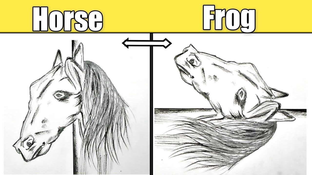 How to draw horse and frog illusion very easy !! Find the hidden frog