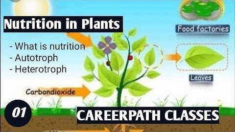 Class: 07 | Nutrition in Plants ( Lec-01 ) | NCERT | By :- Angad Sir | Careerpath Classes |