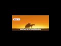 غروب پاییز دلم را غمگین می کند خنده دار ویدیوی کوتاه ویدیوی وایرال حیوانات فیلم وایرال