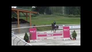 FOR SALE - Ita Zerosette D'Acheronte - *2007,Ephebe for Ever x Accord II,www.salesporthorses.com