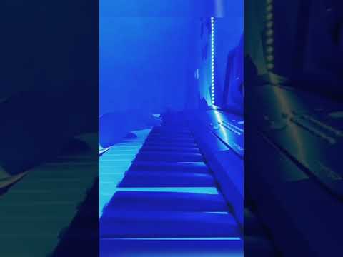 YOU CAN WIN IF YOU WANT - MODERN TALKING (intro by keyboard)