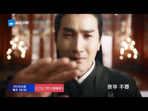 【中国蓝剧场】 《三生三世十里桃花》 杨幂赵又廷三世情缘版宣传片 【浙江卫视官方超清1080P】