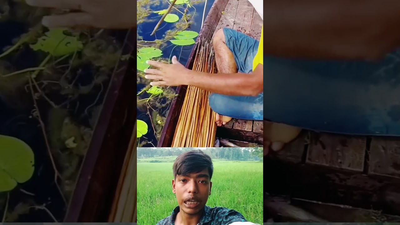 গ্ৰাম বাংলার অসাধারণ একটি পদ্ধতিতে মাছ ধরা দেখুন 