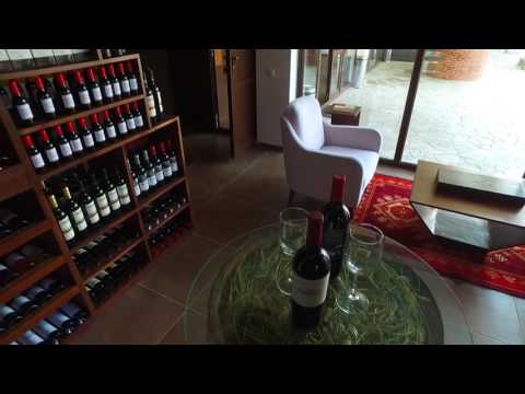 ღვინის სახლი / Винный Дом / Wine House