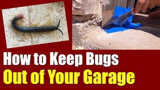 Keep Bugs Out of Your Garage ● Easy Hack to Seal Your Garage Door & Keep Nasty Critters Out ✅