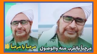 أسد أهل السنة سليل العترة النبوية الطاهرة . سيدي العلامة والداعي إلى الله الحبيب عمر بن حفيظ #shorts