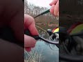 #fishing