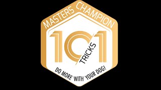 Ziggy DMWYD Trick Dog Champion Masters TDCHM