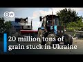 How the Ukraine War is impacting global grain supplies | DW News