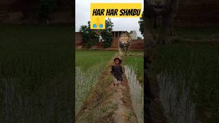 Har Har Shmbulast Tak Jaru Dekhna Video Please