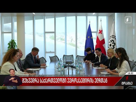 შეხვედრა საქართველოში ევროკავშირის ელჩთან