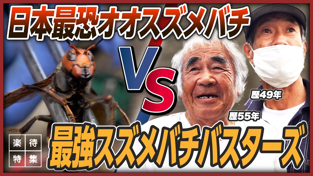 【熟練】日本最恐オオスズメバチ vs 最強スズメバチハンターズ