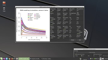 a prototype of PBPK modeling & simulation