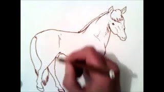 馬の描き方 Youtube
