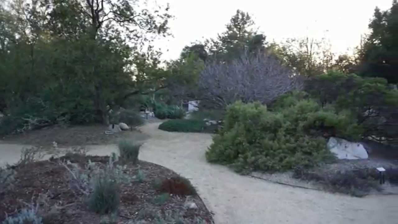 Rancho Santa Ana Botanic Garden Youtube