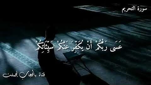 حالات قرآن كريم || بصوت القارئ سلمان العتيبي 🌿🌺