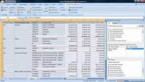 Using SAP Business ByDesign Analytics to Manage Financial Performance_ Solution Demo.wmv