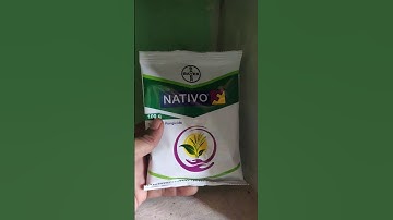 Bayer nativo #farming #agriculture #farm
