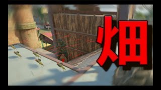 [R6S][爆笑集]クレイモア畑で敵を仕留めようとしたらwww