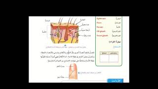 سلسلة دروس مادة العلوم للصف السادس الابتدائي (الموضوع الوحدة الثانية الجلد ووظائفه )