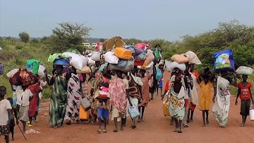 YEAR IN REVIEW - 2015 (Short Version)